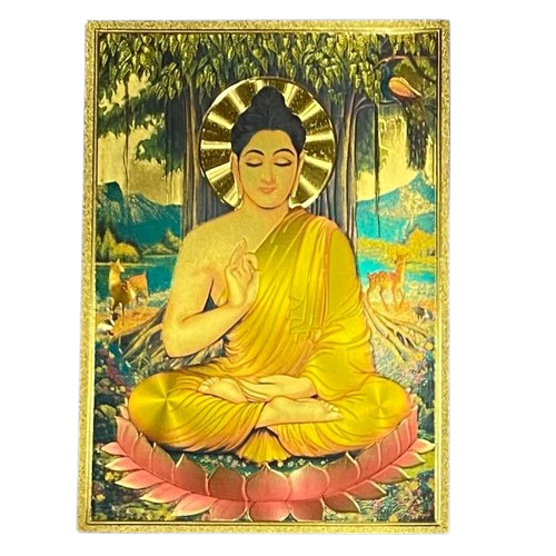 LÁMINA BUDA / M:$2.000 - D:$2.900