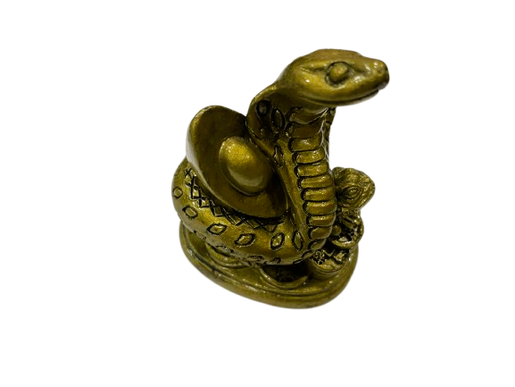 COBRA CHINA – AMULETO DE PROTECCIÓN Y PODER / M: $2.000 - D: $2.900