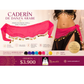 CADERÍN DE DANZA ÁRABE – BÁSICO / Oferta $3.900